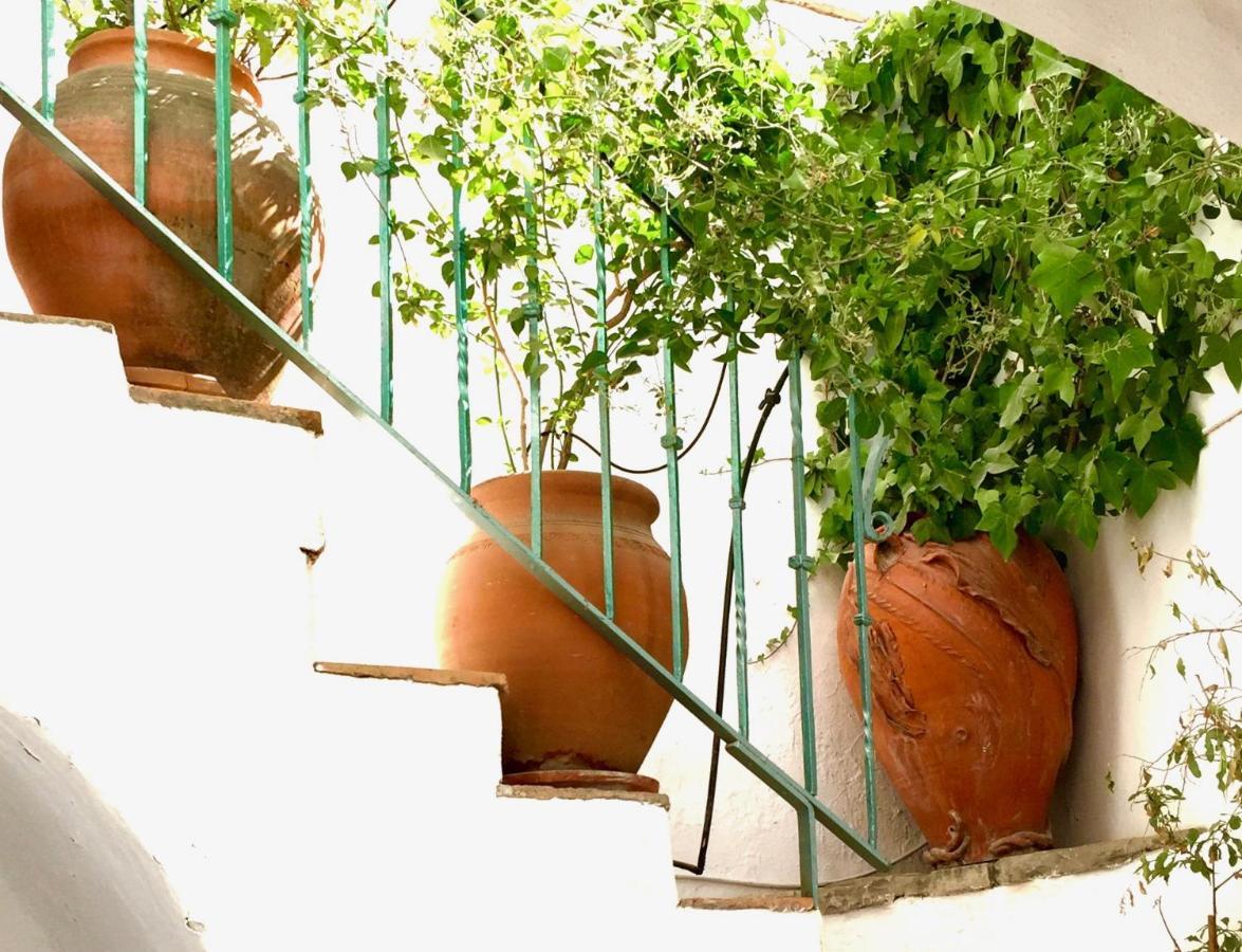 Casa Del Patio Arabe Casas Vejer Debra Villa Vejer de la Frontera Exterior photo